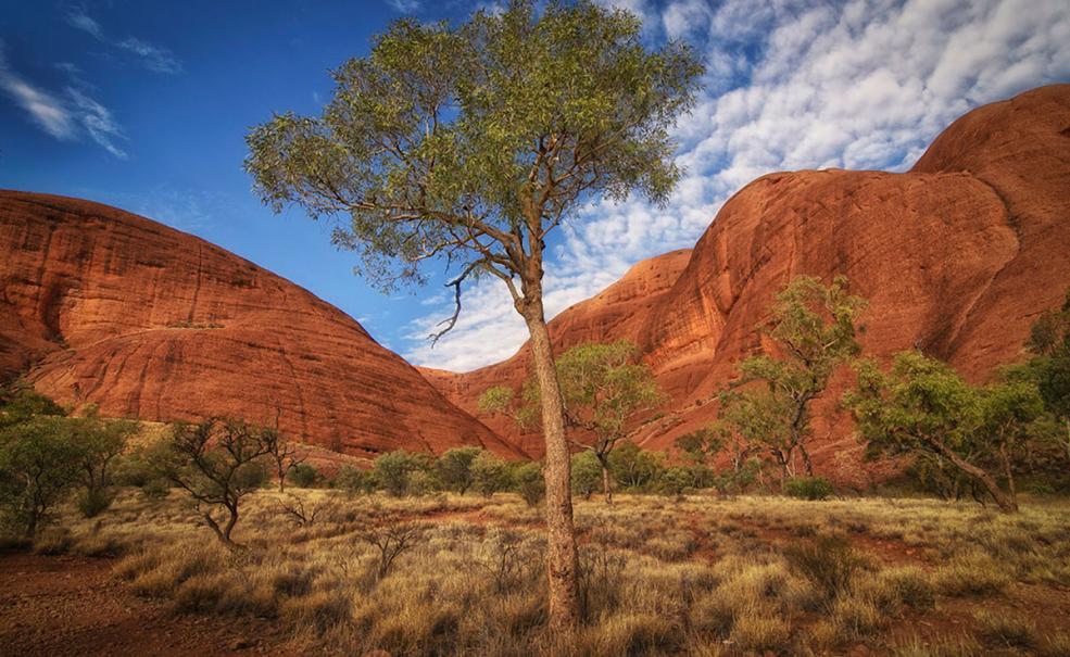 SEIT Valley of the Winds, Ayers Rock
